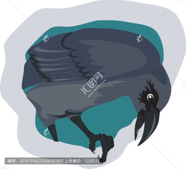 一只鷹