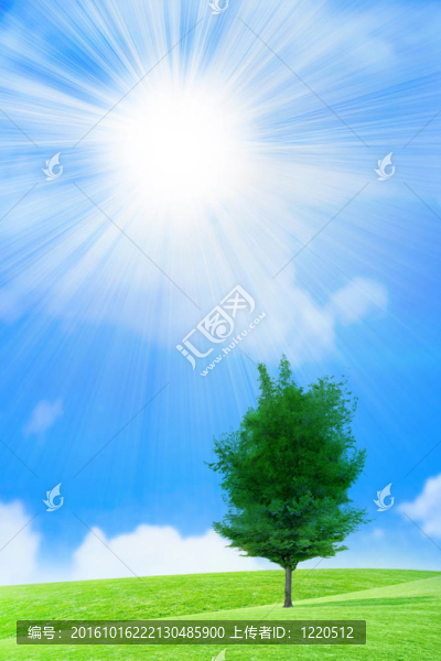 太陽