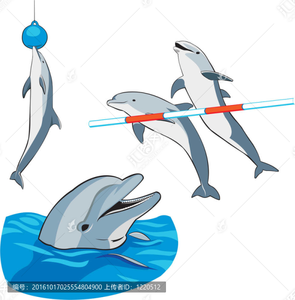 海豚