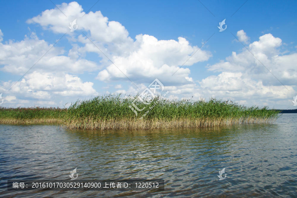 湖