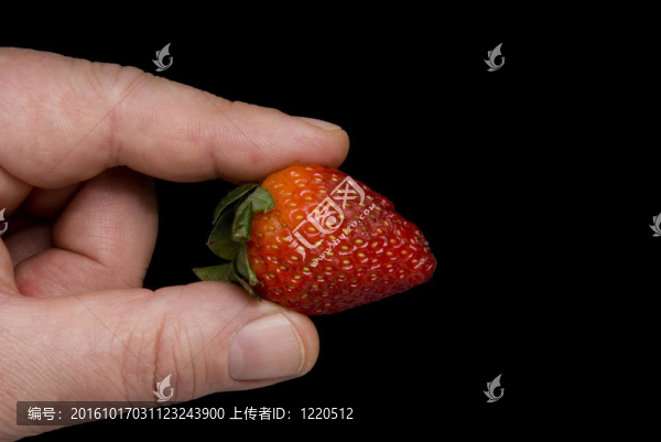 草莓