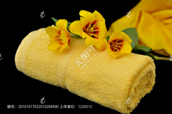 彩妝系列