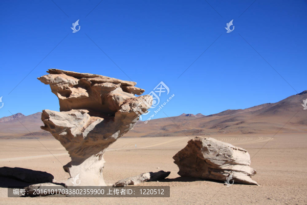 Arbol,de,Piedra（（石樹）