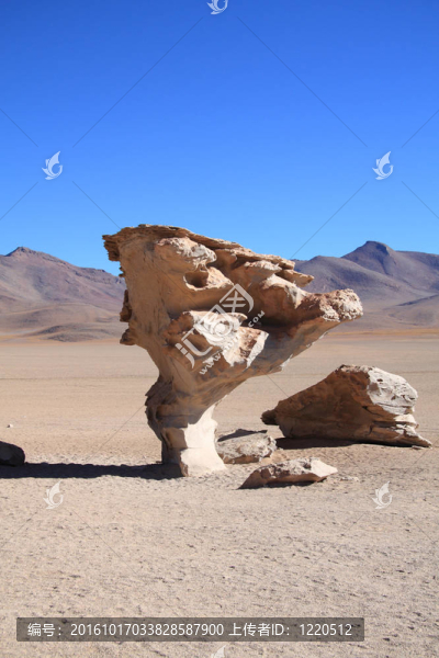 Arbol,de,Piedra（（石樹）