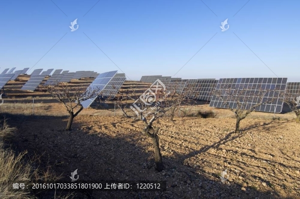 太陽能