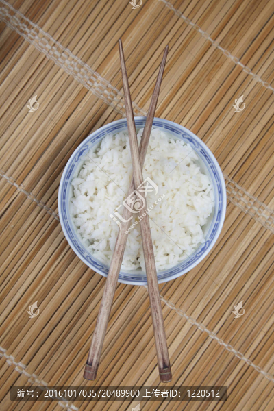 水稻