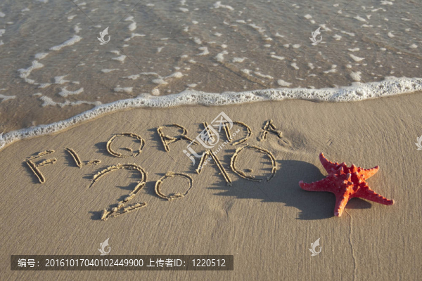 文本在海灘上