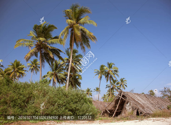 海灘上的小屋