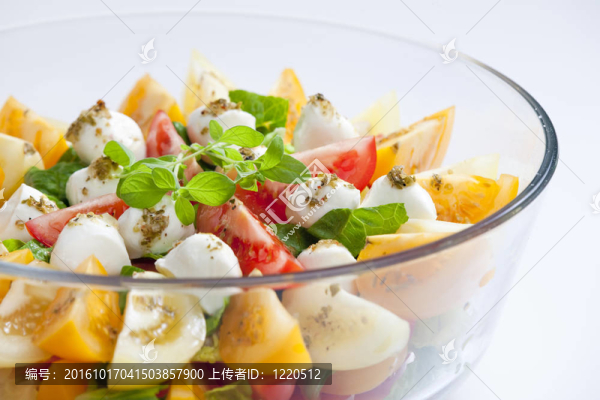 拉吉？atov？薩爾？T的mozarelou
