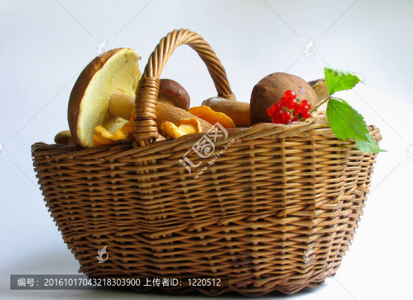 大自然的恩賜