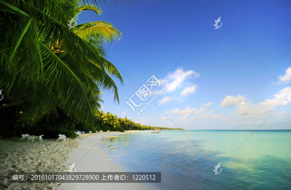 海灘場景