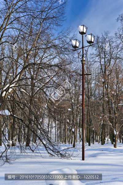 冬天的雪燈籠