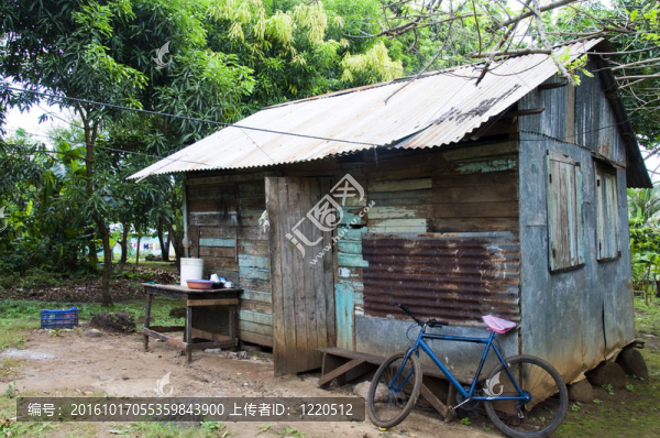 玉米島叢林中的原生屋-尼加拉瓜