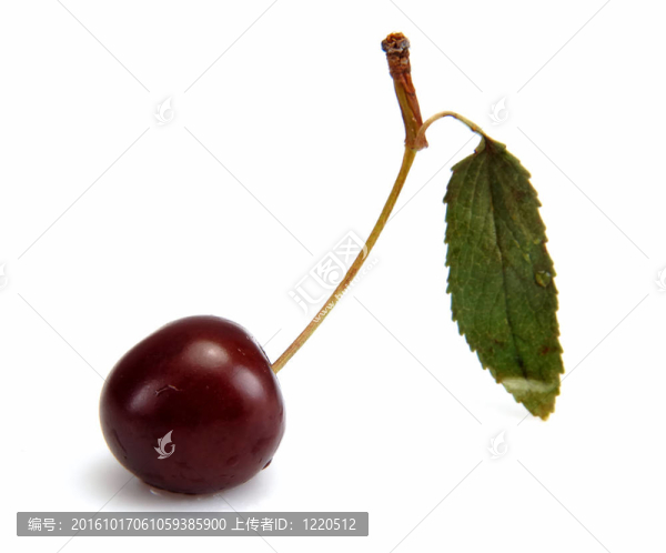 櫻桃