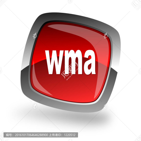 WMA文件的網(wǎng)絡圖標