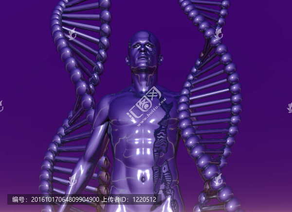 人類的DNA