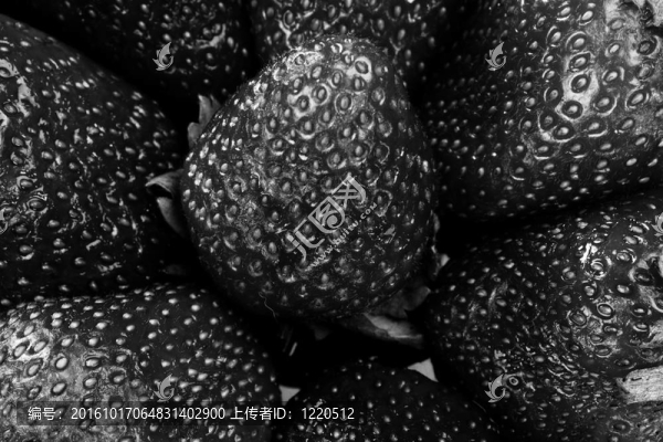 Strawberry。黑白照片。