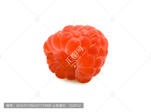 覆盆子
