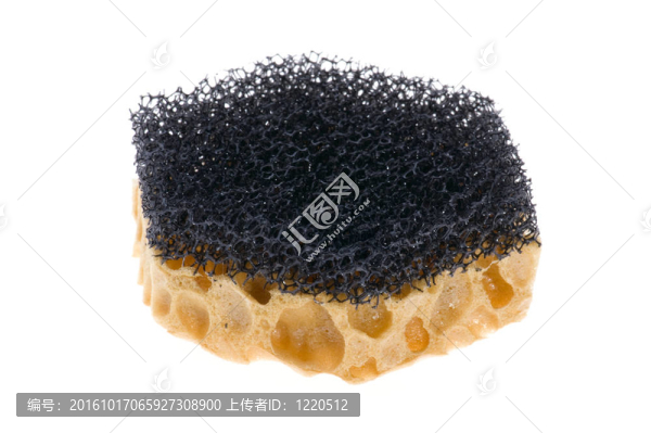 海綿上的白色