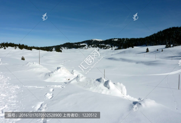 山在冬季