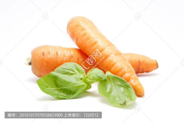 胡蘿卜和羅勒葉