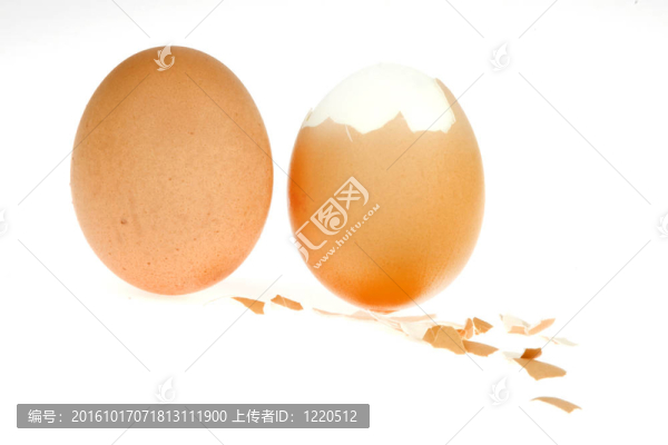 雞蛋