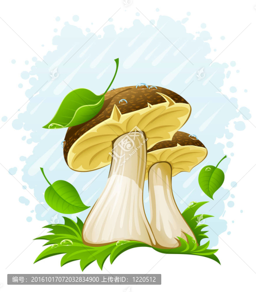 青草與綠草在雨下草