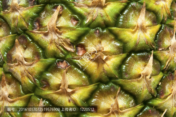 菠蘿的細(xì)節(jié)
