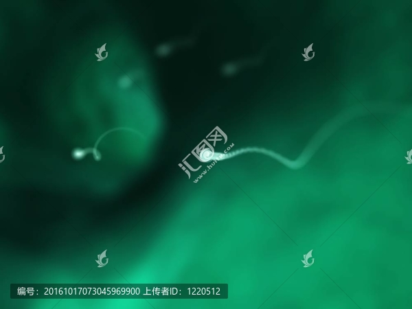 精子細(xì)胞