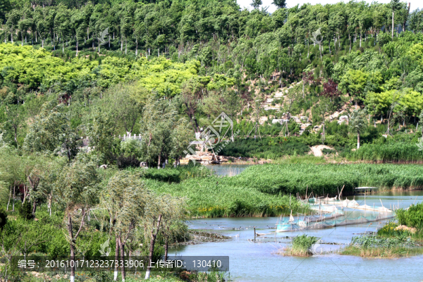 濕地公園