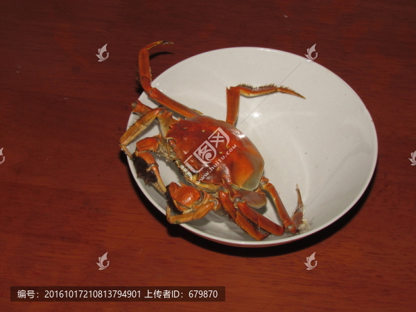 螃蟹
