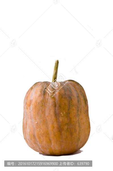 南瓜