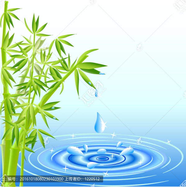 水滴從竹葉落下