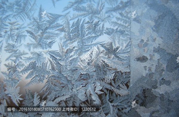 冬窗雪紋