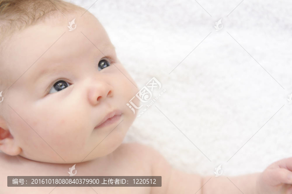 寶貝