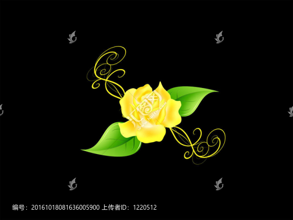 玫瑰