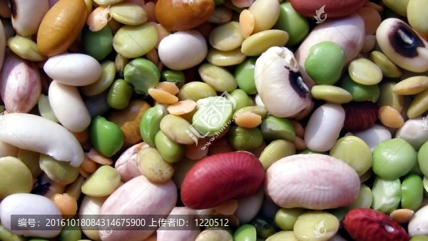 豆