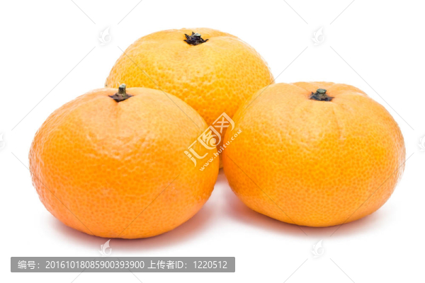 求購柑桔