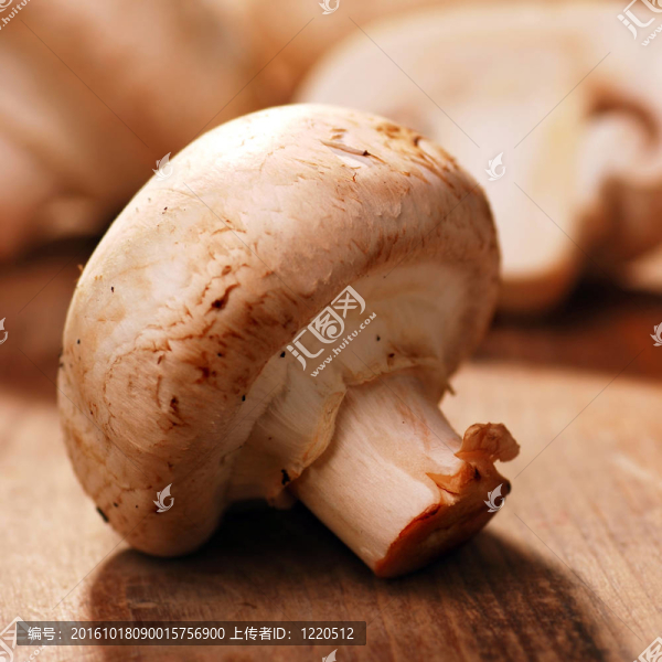 蘑菇