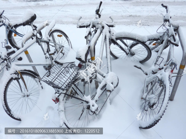 雪覆蓋的自行車