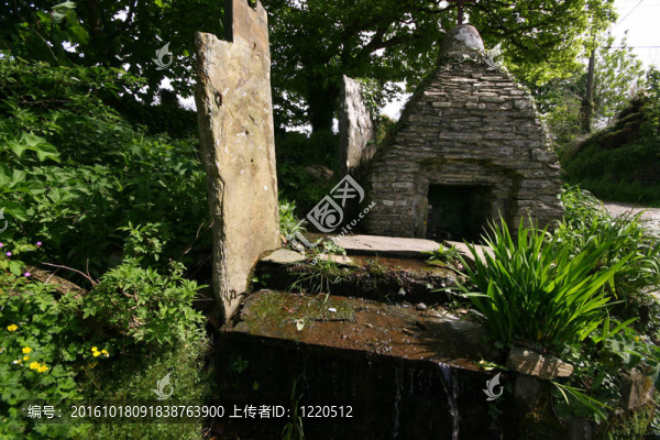 ST,nectans格蘭春天