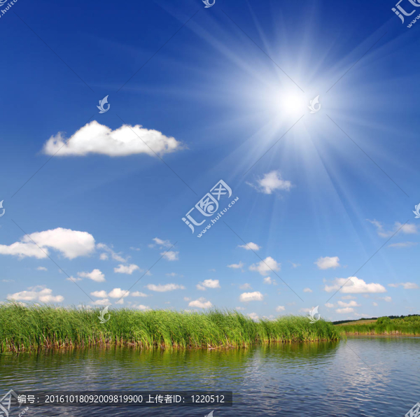 夏天的池塘