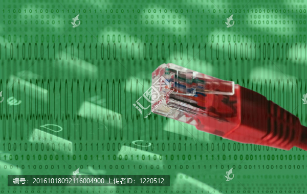 因特網(wǎng)電纜和代碼
