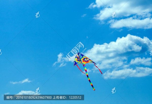 風(fēng)蛇