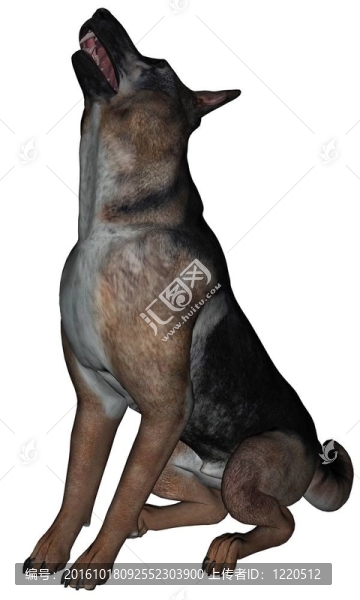 德國牧羊犬