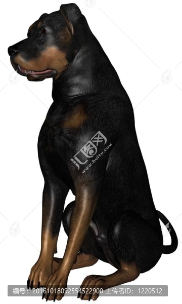 羅威納犬