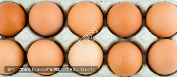 護(hù)卵