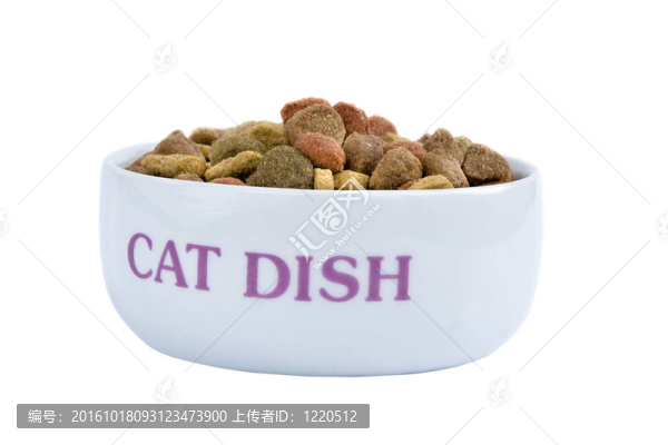 貓菜