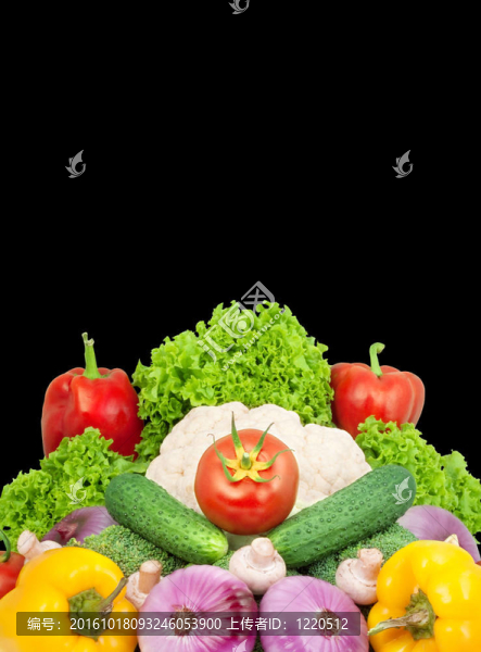 蔬菜