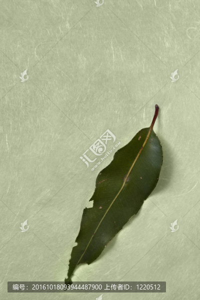 皺紋紙